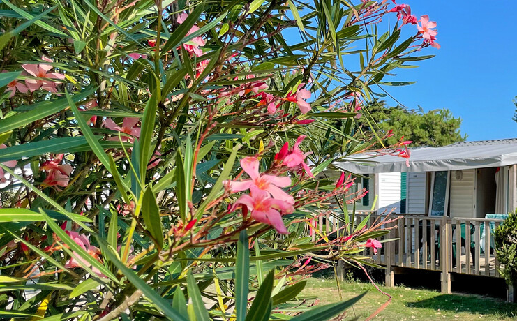 slider-10_brandais-camping_1.jpg