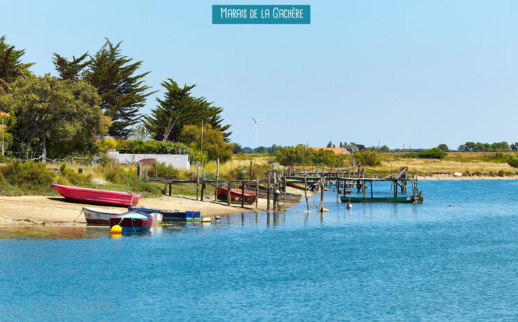 slider-19_brandais-marais-gachere_1.jpg